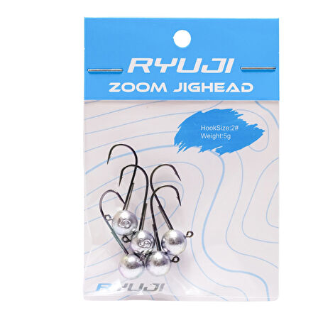 Ryuji Zoom 5gr Jig Head İğne No : 2