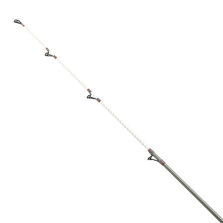Daiwa Shorecast BF 420 cm 100-225 gr Surf Kamış