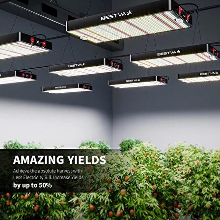 BESTVA DC High-Yield Series 2000W LED Full Spektrumlu Bitki Işığı