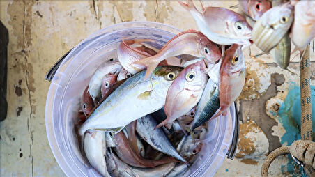 MDB Misina İpi 300 Metre