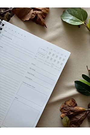 6 Aylık Günlük Planlayıcı | Sert Mukavva Kapaklı Spiralli Defter | 204 Sayfa | 22x28.5 cm