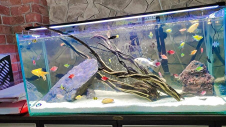 SHARK AKVARYUM ARMATÜR 75 CM ( 80-85 CM UYUMLU ) 3 SIRA LEDLİ 3465 LÜMEN