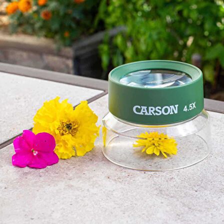 Carson HU-55 BugLoupe™ 4.5x Standlı Büyüteç