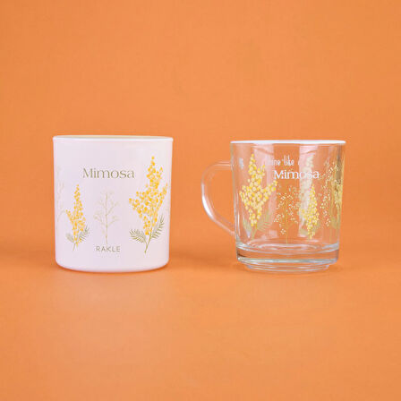 Mimosa Kupa ve Mum Seti - Renkli - 250 ml