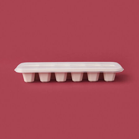 Polaris Buz Kalıbı - Asorti - 10x26 cm