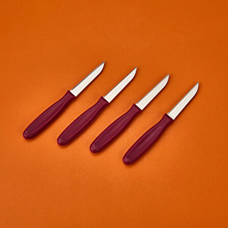 4'lü Meyve Bıçağı - Asorti - 20 cm