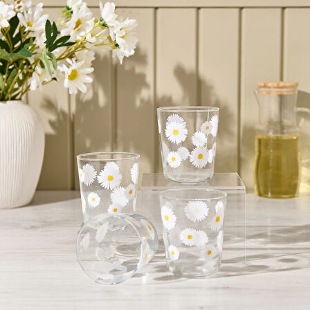 Fiona 4'lü Bardak Seti - Şeffaf - 315 ml