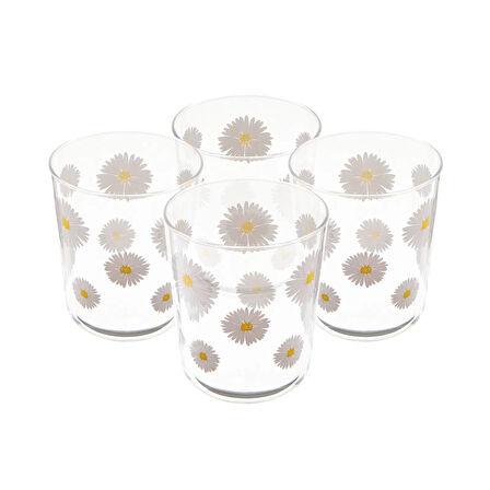 Fiona 4'lü Bardak Seti - Şeffaf - 315 ml