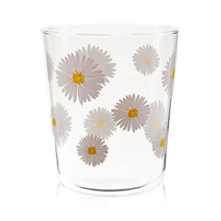 Fiona 4'lü Bardak Seti - Şeffaf - 315 ml