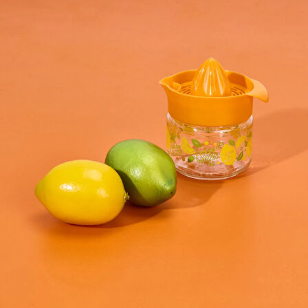 Fresia Desenli Limonluk - Asorti - 300 ml