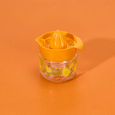 Fresia Desenli Limonluk - Asorti - 300 ml
