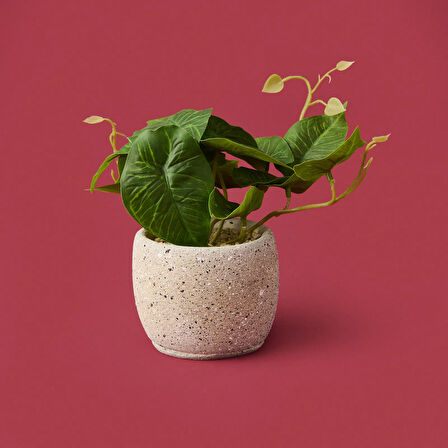 Saksıda Yapraklar - Asorti - 20x9x9 cm