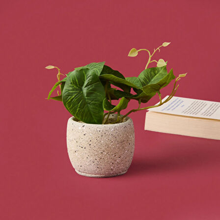 Saksıda Yapraklar - Asorti - 20x9x9 cm