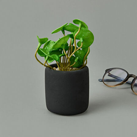 Mini Pot Soft Yaprak Saksılı Çiçek - Asorti - 8x6x6 cm