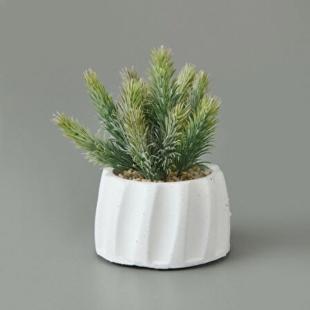 Beton Saksıda Real Touch Çam Yaprağı - Asorti - 25x10x10 cm