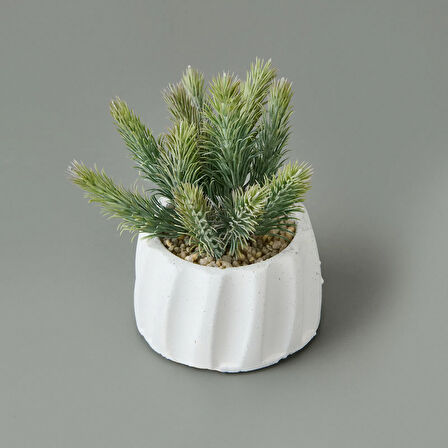 Beton Saksıda Real Touch Çam Yaprağı - Asorti - 25x10x10 cm