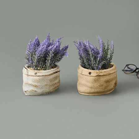 Çuval Saksıda Kır Lavantası - Asorti - 13x9x9 cm