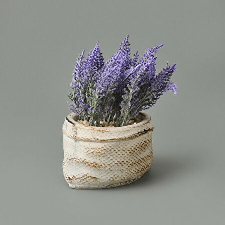 Çuval Saksıda Kır Lavantası - Asorti - 13x9x9 cm