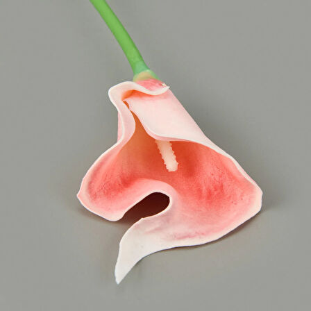 Dal Gala Çiçeği - Asorti - 33 cm