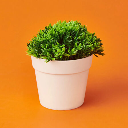 Dekor Saksıda Bitki - Asorti - 12x13 cm