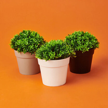 Dekor Saksıda Bitki - Asorti - 12x13 cm