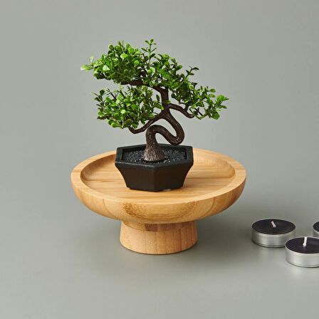 Dekor Mini Yapay Bonsai - Asorti - 10x13 cm