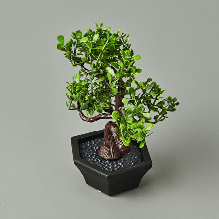 Dekor Mini Yapay Bonsai - Asorti - 10x13 cm