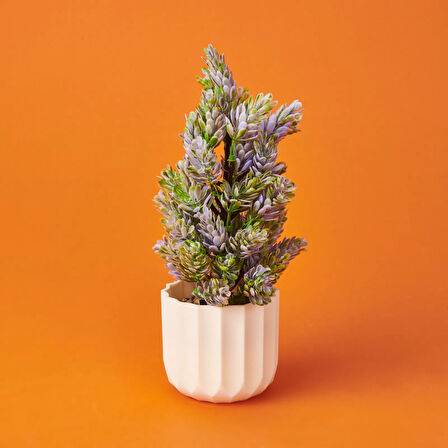 Dekor Yapay Çam - Asorti - 10,5x26 cm