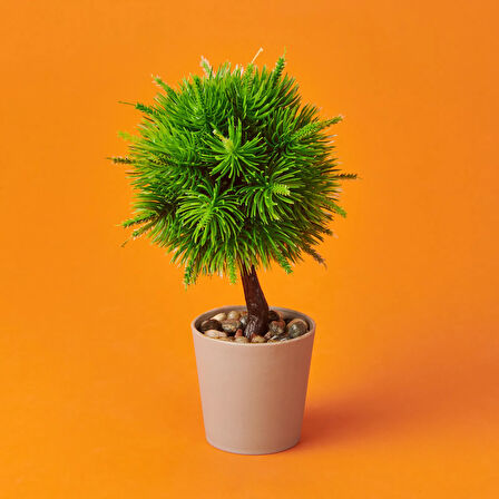 Dekor Top Yapay Çam - Asorti - 12x18 cm