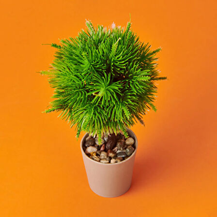 Dekor Top Yapay Çam - Asorti - 12x18 cm