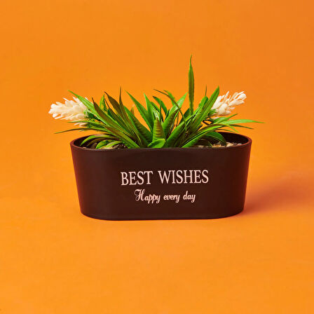 Dekor Sukulent - Asorti - 16x13 cm