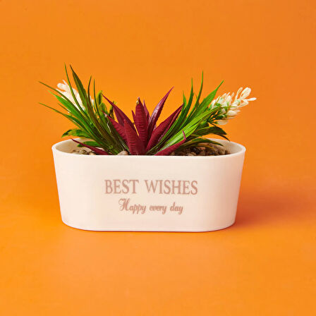 Dekor Sukulent - Asorti - 16x13 cm