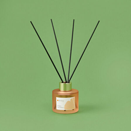 Deco Melagne Oda Kokusu - Somon - 100 ml