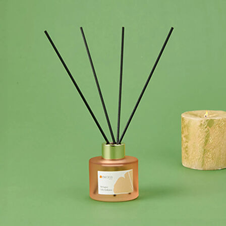 Deco Melagne Oda Kokusu - Somon - 100 ml