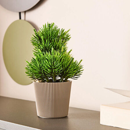 Dekor Saksılı Yapay Çam Ağacı - Renkli - 15x5 cm