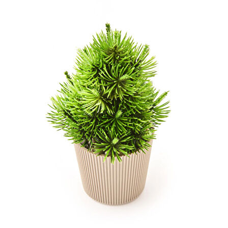 Dekor Saksılı Yapay Çam Ağacı - Renkli - 15x5 cm