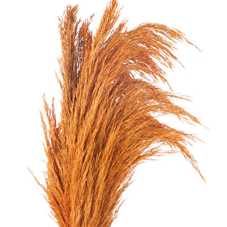 Deco Pampas Yapay Çiçek - Turuncu - 90x20 cm