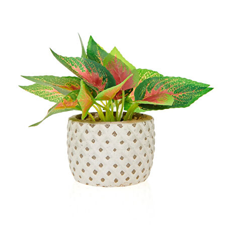 Mini Saksıda Yapraklar - Asorti