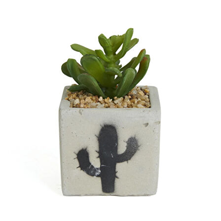 Beton Saksıda Yapay Sukulent - Asorti - 7x10 cm