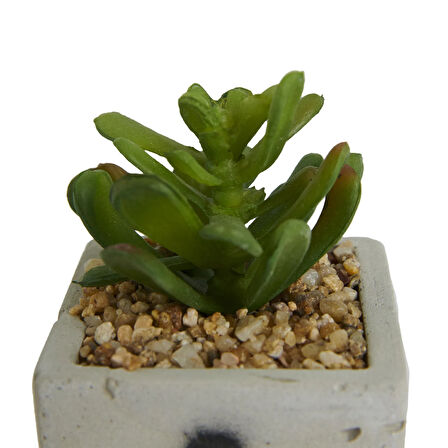 Beton Saksıda Yapay Sukulent - Asorti - 7x10 cm