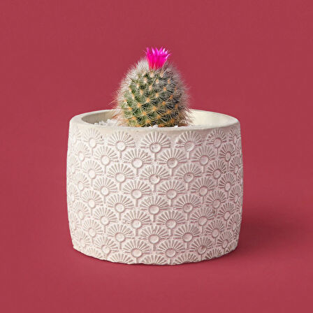 Işık Desen Beton Saksı - Bej - 10x13 cm