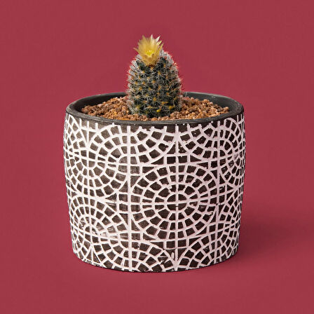 Mozaik Desen Beton Saksı - Siyah - 10x13 cm