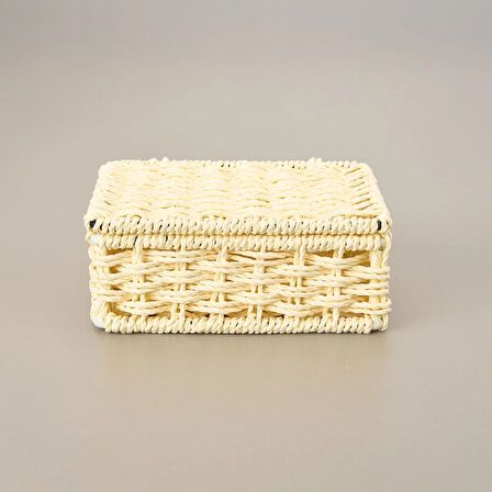 Living Dekoratif Saklama Kutusu - Bej - 5x11x15 cm