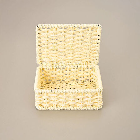 Living Dekoratif Saklama Kutusu - Bej - 5x11x15 cm