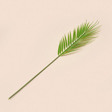 Areka Dal Çiçek - Yeşil - 50 cm