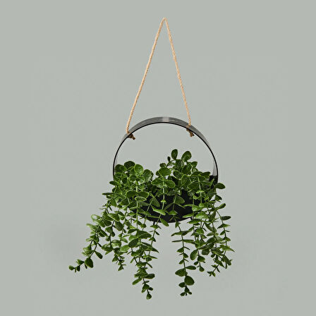 Dekor Yapay Okaliptus - Asorti - 50x20 cm