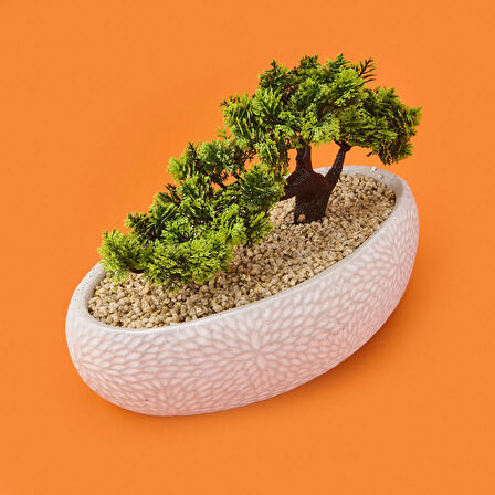 Desenli Elips Saksıda Bonsai - Renkli - 24x33 cm