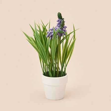 Spring Çiçek - Asorti - 6x5 cm