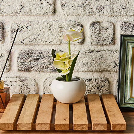 Saksıda Ledli Orkide - Asorti - 25x9 cm