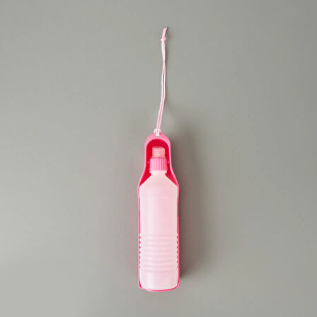 Evcil Hayvan Su Şişesi - Asorti - 450 ml